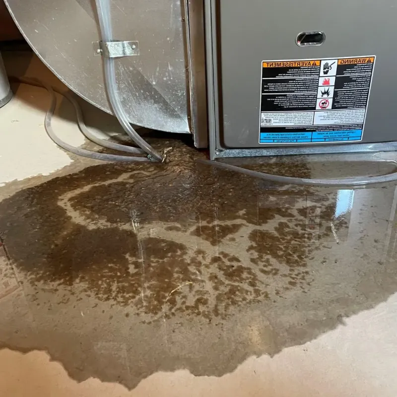Pipe Burst and Leak Restoration in Hancock County, IA
