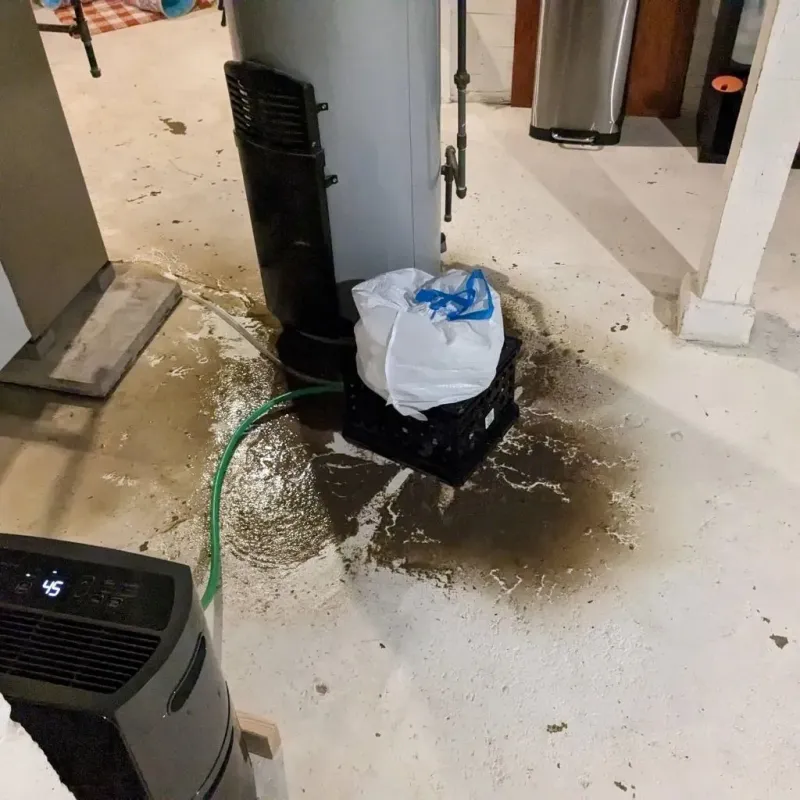 Sewage Backup Cleanup Service in Hancock County, IA